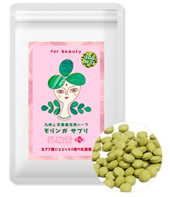 モリンガ乳酸菌プラス240粒入