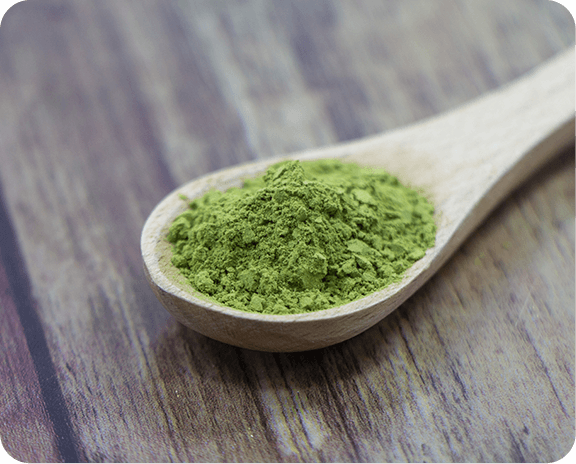 モリンガの効果・効能